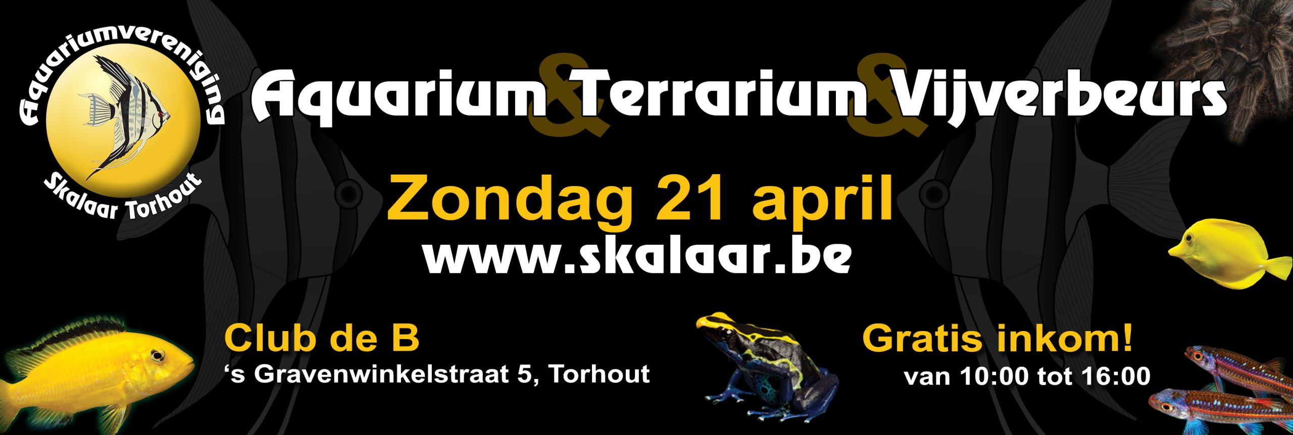 Aquarium Terrarium en Vijverbeurs Skalaar Torhout 4 juni 2023